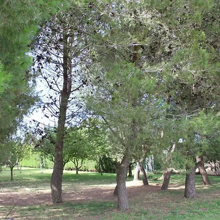 Tenuta Ambrosia *